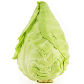 Velké balení (kg) - čerstvé zelí špičák BIO (polské) (cca 8 kg)